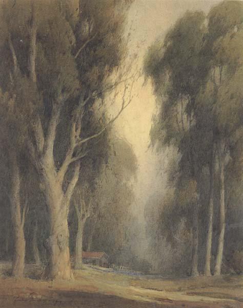 unknow artist Eucalyptus Trees,Burlingame France oil painting art